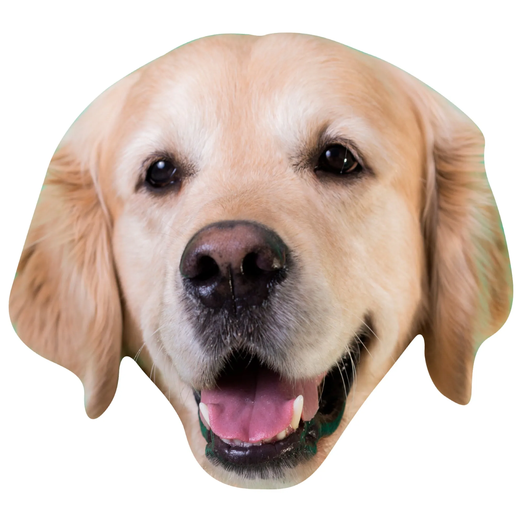 Animals: Golden Retriever Foam Core Cutout - Big Head