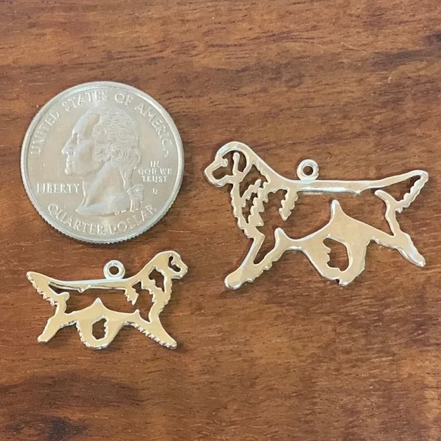 Gaiting Golden Retriever