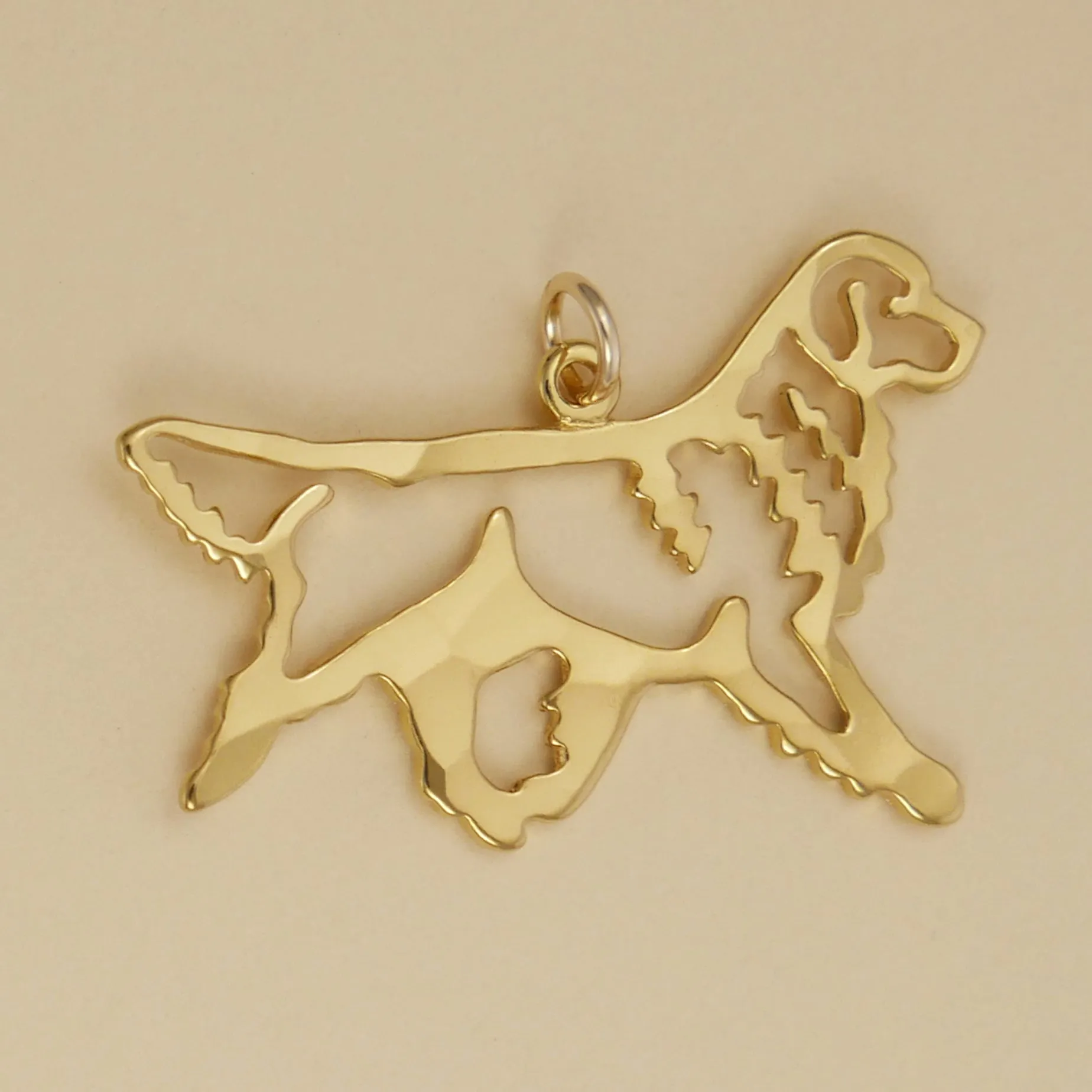 Gaiting Golden Retriever