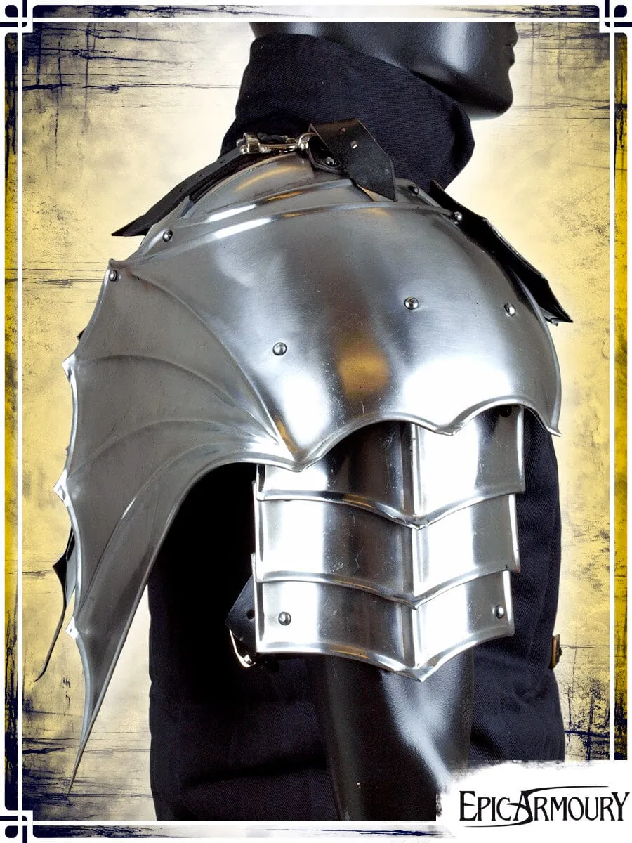 Gothic Pauldrons and Gorget